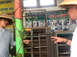 Wamendagri didampingi walikota meninjau pengelolaan sampah organik jadi maggot di RW 4 Kampung Jambon Gesikan, Kamis (16/04/2026). (Rossa Nur Aisyah/ Lingkunganku) 