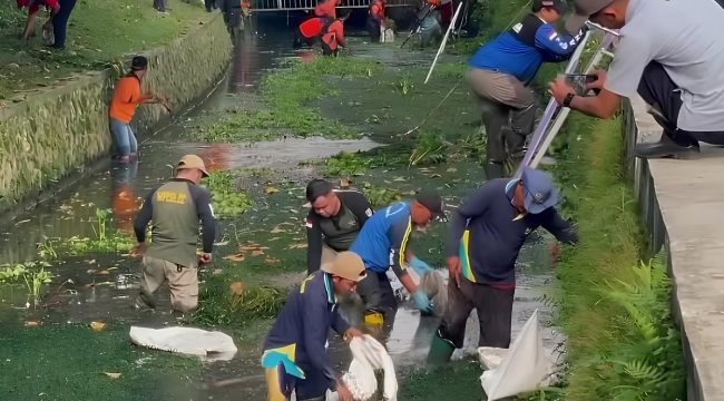 Gerakan Resik Kali Bening di Jalan Cempaka, Kota Magelang, melibatkan masyarakat dalam pembersihan sungai sebagai upaya mitigasi banjir dan menjaga kebersihan lingkungan dalam rangka Hari Kesiapsiagaan Bencana 2026, Selasa (21/4/2026).